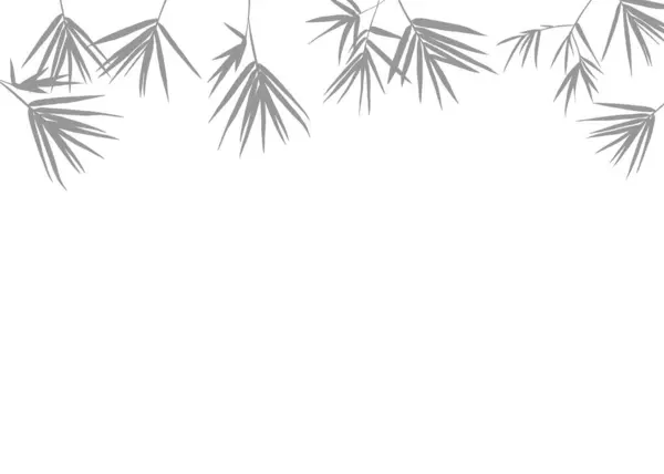 Сірі Тіні Бамбуковий Лист Різдвяна Рамка Ізольованому Фоні Стокова Картинка