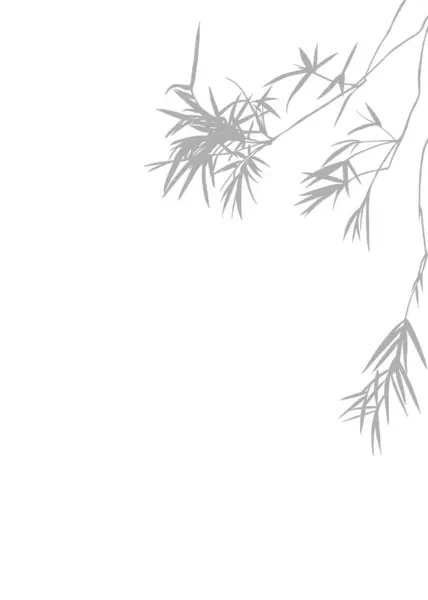 Сірий Бамбуковий Силует Абстрактному Ізольованому Тлі Тінями Елементів Природи Або Стокове Фото