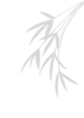 Dekorasyon için gri doğal bambu gölge unsuru. Beyaz arkaplanı ayır.