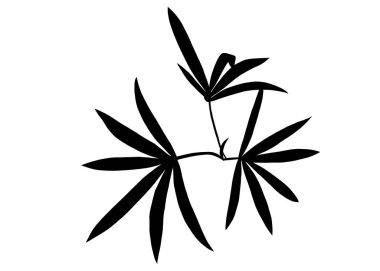 A black leaves and branches illustration of a little Rattan tree or Rhapis excelsa Zuiko-Lutino, The design highlights natural elements, the essence of spring and summer concept. clipart