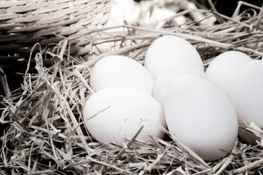 Etrafı samanla çevrili bir yuvadaki yumurtalar, taze bir çiftlik manzarasını çağrıştırıyor. Siyah beyaz resimler..