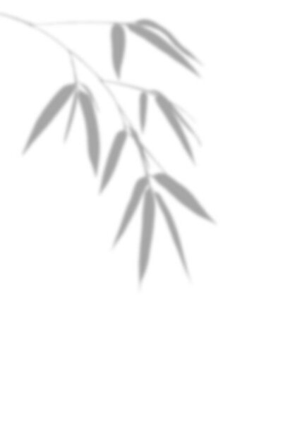 Blurry Grey Silhouette Bamboo Leaves Bamboo Stem Featuring Elements Leaves Stock Photo