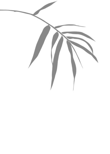 Grey Bamboo Olive Leaves Background Featuring Isolated Ink Art Hand Stock Photo