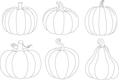 Bir dizi izole edilmiş altı eşsiz balkabağı ana hatları. Cadılar Bayramı veya Şükran Günü konsepti.