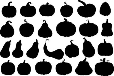 Balkabağı siluetleri. Balkabağı izole arka planda. Cadılar Bayramı ve Şükran Günü. Sebze elle çizilmiş. Vektör EPS 10.