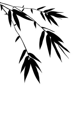 Bambu siluetinin siyah yapraklı bir dalı basit bir resimde arka planda izole edilmiş. Zen kavramı.