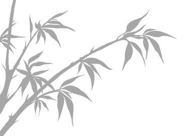 Yeşil yapraklı gri bambu çizimi, arka planda izole edilmiş. Kısaltma resmi. Zen kavramı.