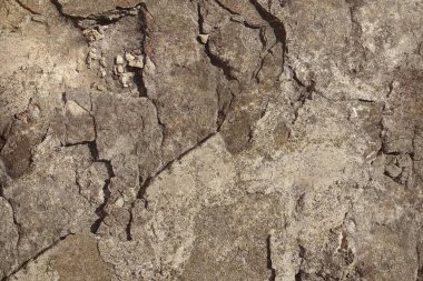 Gri granit bir kaya görüntüsü olan doku arkaplanı. Duvar kâğıdı ve tasarım için kullanılabilir                 