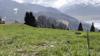 Zell am 'daki en üst nokta göl ve karlı dağlar. Yeşil çimenler ve çiçeklerle tarlayı kapatın, hareket edin. Sezon değişimi