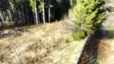 Yavaş hareket eden, Alplerde güneşli bahar, arka planda karlı dağlarla kaplı yeşil ağaçlar. Bulutlu gökyüzü