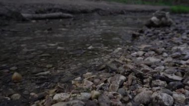 Yavaşça akan, renkli taşlarla sığ nehri kapatın.