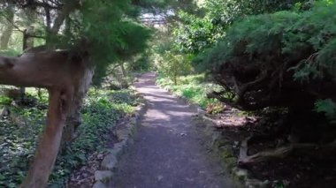 Park 'ta gölge yol var, insan yok. Ağaçlar ve çalılar arasında sakin bir yürüyüş. Sakin atmosfer