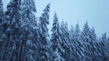 Bir Wintry Country Yolu Sürücü Perspektifinden Sürüş - Bölüm 1.