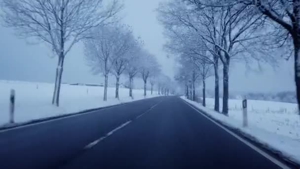Bir Wintry Country Yolu Sürücü Perspektifinden Sürüş Bölüm — Stok video