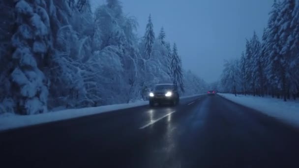 Bir Wintry Country Yolu Sürücü Perspektifinden Sürüş Bölüm — Stok video