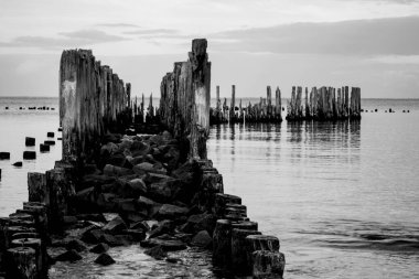 Black and white photo of the seashore with wooden elements of the ruined pier. clipart