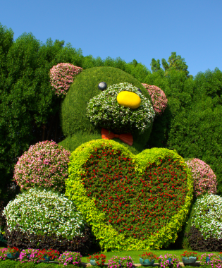 Çerçeveden, yapraklardan ve çalılardan yapılmış kocaman, güzel bir ayı. Peyzaj tasarımı fikri