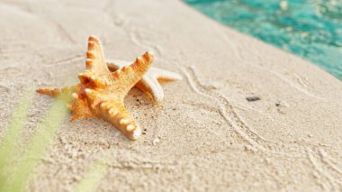 İki denizyıldızı sakin kumlu bir plajda dinleniyor. Arka planda sakin mavi bir okyanus var. Sıcak güneş ışığı altında. 3d, görüntüleme, illüstrasyon,