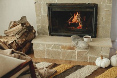 Kaliteli bir fincan sıcak çay ve yanan şöminenin arka planında rahat çoraplar, sonbahar kış musluğu. Ahşap sobalı ısıtma evi. Köy şöminesinde dinlenip ısınıyorum.