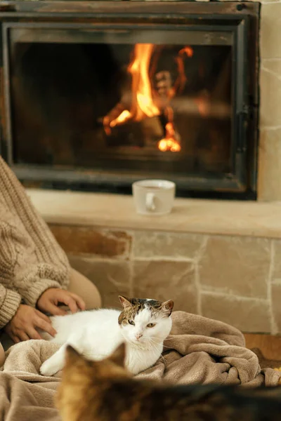 Χαϊδεύοντας Χέρι Χαριτωμένο Γάτα Ζεστή Κουβέρτα Στο Τζάκι Κοντά Φθινόπωρο — Φωτογραφία Αρχείου