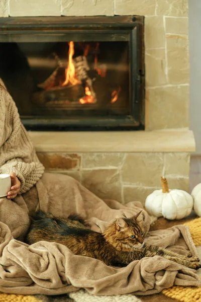 暖炉のある居心地の良い毛布の上に一緒に座ってお茶を飲んでかわいい猫と女性 素朴な農家で暖炉を燃焼で所有者と一緒にリラックス快適なタビーキティ — ストック写真