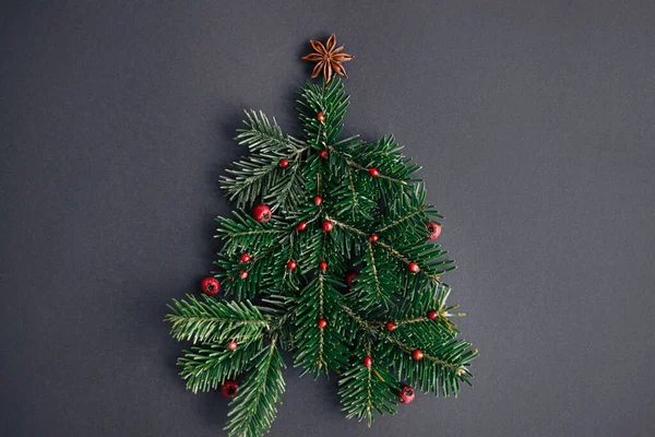 전통적 크리스마스 트리는 전나무 가지로 만들어 열매와 아니스 스타는 배경에 — 스톡 사진
