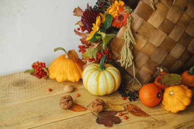 Şık sepetlerde sonbahar çiçekleri, balkabakları, böğürtlenler ve fındıklar odalardaki ahşap masada. Mevsimlik tebrik kartı. Mutlu Şükran Günleri Çiftlikte hasat. Atmosferik sonbahar durgun yaşamı