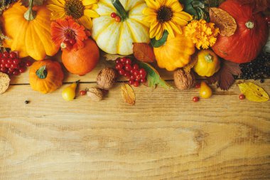 Şükran Günü yatıyordu. Şık balkabakları, güz çiçekleri, böğürtlenler, yapraklar, sade ahşap masadaki fındıklar. Sonbahar hala hayattır. Mutlu Şükran Günleri Metin için alanı olan mevsimlik tebrik kartı şablonu.