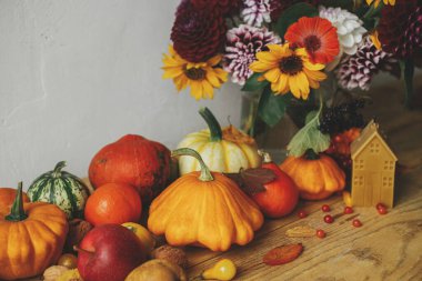 Sonbahar hala hayattır. Şık balkabakları, güz çiçekleri, böğürtlenler, yapraklar, kırsal ahşap masadaki mum. Mutlu Şükran Günleri Mevsimlik tebrik kartı şablonu ve metin için boşluk. Atmosferik düşüş