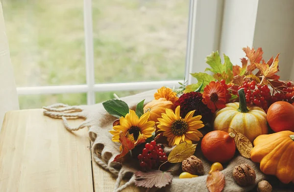 Herbstliches Stillleben Kürbisse Blumen Beeren Und Nüsse Auf Warmem Schal — Stockfoto