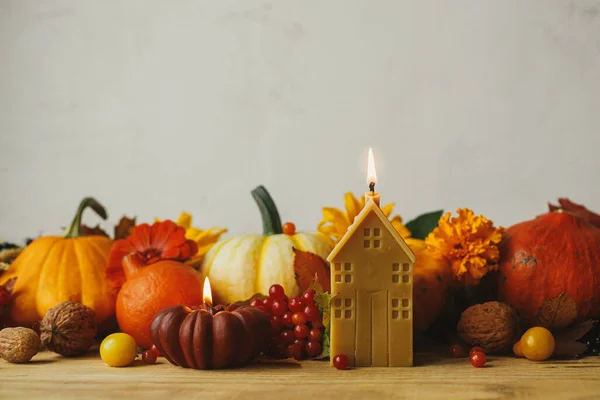 Autumn still life. Stylish pumpkins, autumn flowers, berries, leaves, candle on wooden table in rustic room. Happy Thanksgiving! Seasons greeting card, space for text. Atmospheric banner