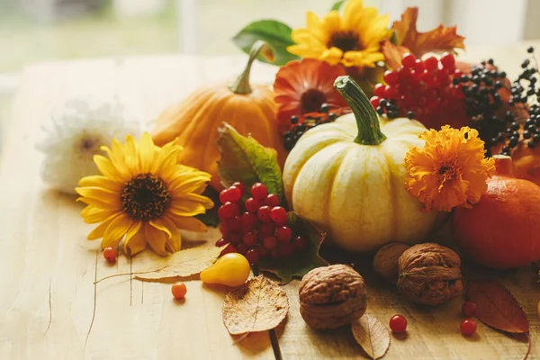 Happy Thanksgiving! Pumpkins, flowers, berries and nuts on rustic wooden table against window. Seasons greeting card, space for text. Autumn still life. Harvest at farm