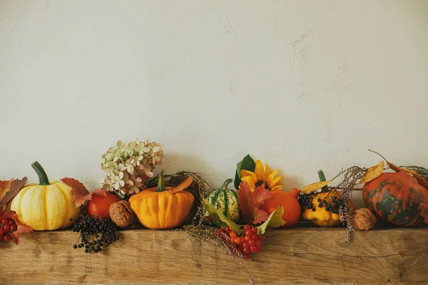 Herbst Dekor Kamin Rustikalen Raum Stilvolle Kürbisse Blumen Beeren Nüsse — Stockfoto