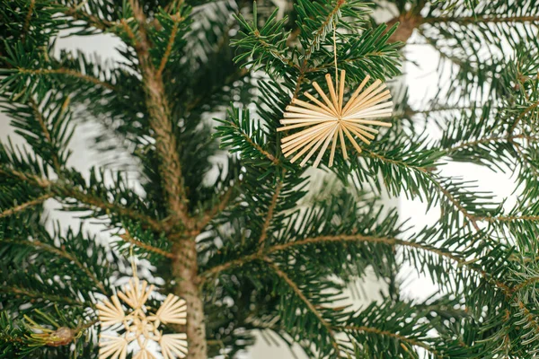 Stylish Straw Ornaments Fir Branches Festive Room Simple Eco Decoration — Stockfoto