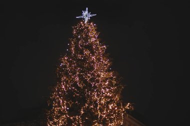Şık bir Noel ağacı, altın renkli ışıklar ve şehir meydanında bir yıldız. Şehir caddesinde modern noel dekorasyonu. Avrupa 'da atmosferik kış tatili. Mutlu Noeller.