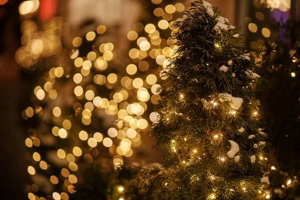 夜にライトと雪の枝を持つスタイリッシュなクリスマスツリー 街の通りで近代的なクリスマスの装飾 ヨーロッパでの大気中の冬の休日 メリークリスマスとハッピーホリデー — ストック写真