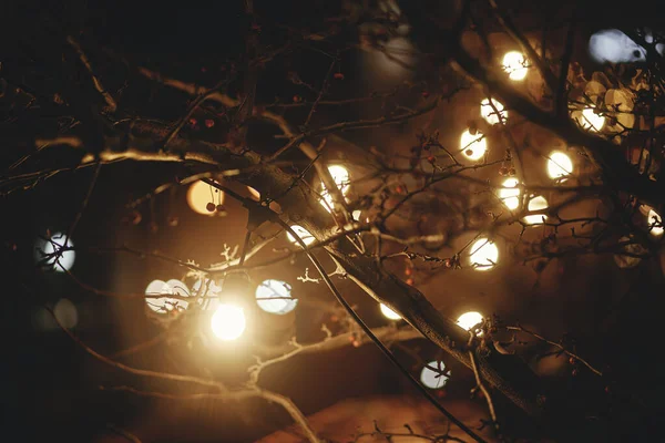Stylové Žárovky Vánoční Světla Větvích Stromů Náměstí Večerních Hodinách Náladová — Stock fotografie