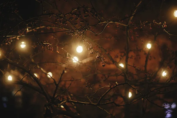 Stylové Žárovky Vánoční Světla Větvích Stromů Náměstí Večerních Hodinách Náladová — Stock fotografie