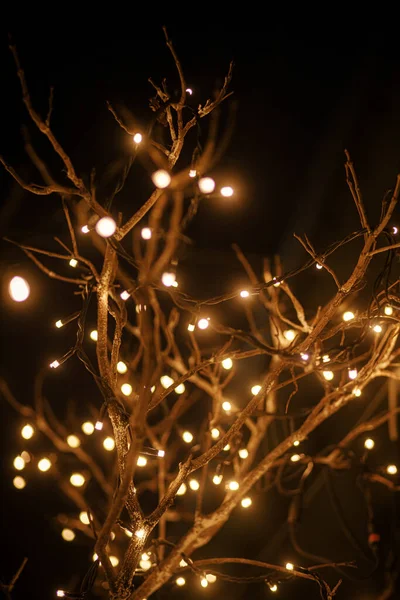 Стильные Лампочки Лампочки Ветвях Деревьев Городской Площади Вечером Модный Праздничный — стоковое фото