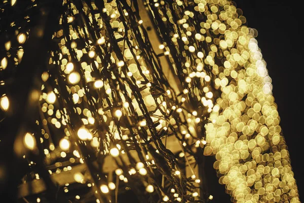 아름다운 크리스마스의 황금빛 광장에 비치고 축제의 맞는다 현대의 크리스마스 디오르 — 스톡 사진
