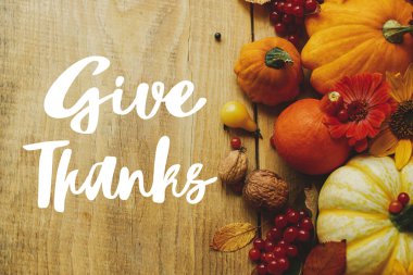 Şık balkabakları, sonbahar çiçekleri, kırsal ahşap masa üzerinde fındıklar ve meyveler üzerine teşekkür metni yaz. Şükran Günü tebrik kartın kutlu olsun. El yazısıyla yazılmış harfler