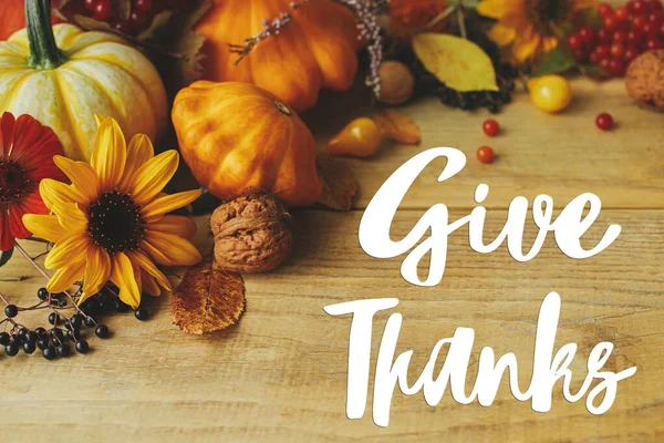 Give Thanks text on stylish pumpkins, autumn flowers, berries and nuts on rustic wooden table composition. Happy Thanksgiving greeting card. Handwritten lettering