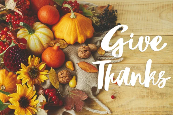 Give Thanks text on stylish pumpkins, autumn flowers, nuts, warm scarf composition on rustic wooden table. Happy Thanksgiving greeting card. Handwritten lettering