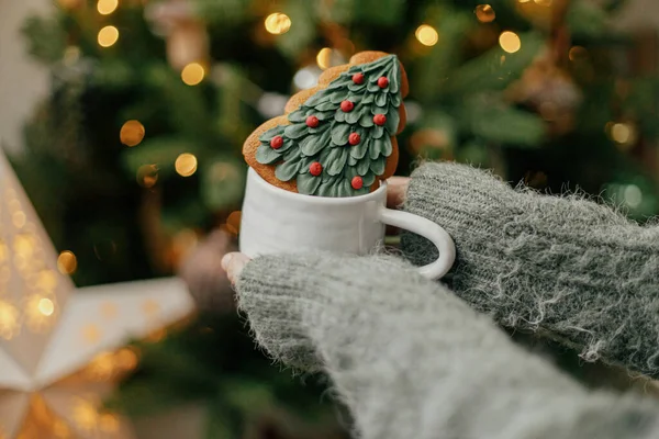 손으로 크리스마스 진저브레드 쿠키를 크리스마스 트리를 배경으로 대기의 크리스마스 현수막 — 스톡 사진