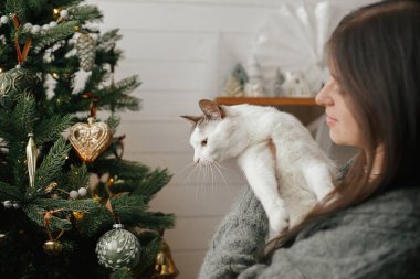 Şirin bir kedi ve şık bir Noel ağacı süsleyen bir kadın klasik takılarla. Hayvan ve kış tatilleri. Hoş kazaklı bir kadın festival odasında sevimli kediciğe sarılıyor. Mutlu Noeller.!