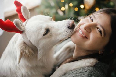 Mutlu Noeller! Geyik boynuzları içinde şirin bir köpek şık bir Noel ağacının sahibiyle oynuyor. Hayvan ve kış tatilleri. Mutlu kadın, şenlik odasında sevimli, beyaz Danimarka tükürüğüne sarılıyor.