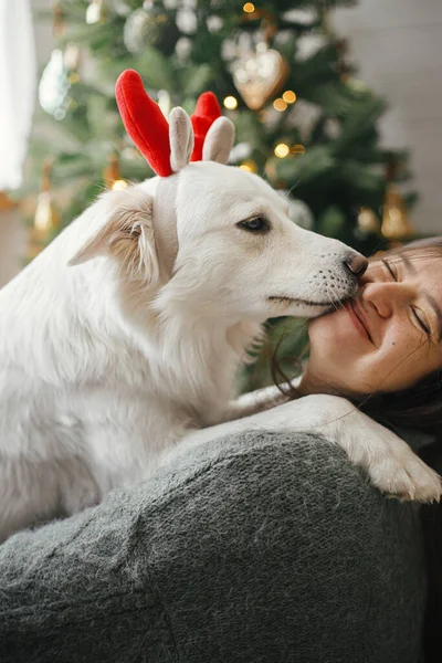 Симпатичная Собака Оленьих Рогах Играет Хозяином Стильной Рождественской Елке Домашние — стоковое фото