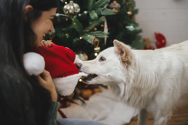 Gelukkige Vrouw Spelen Met Schattige Hond Met Kerstmuts Buurt Stijlvolle — Stockfoto