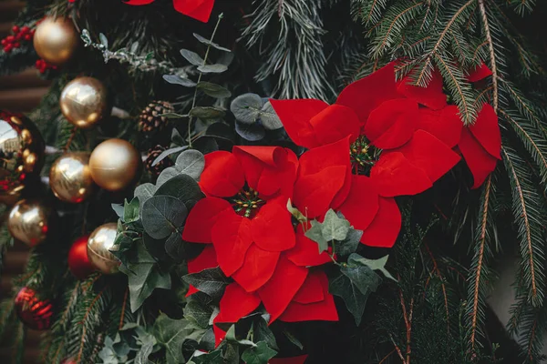 Stylische Tannenzweige Mit Christbaumkugeln Und Weihnachtssternen Schließen Sich Die Fassade — Stockfoto