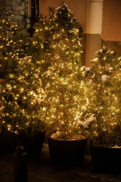 Arbre Noël Élégant Avec Des Lumières Des Branches Enneigées Soirée — Photo